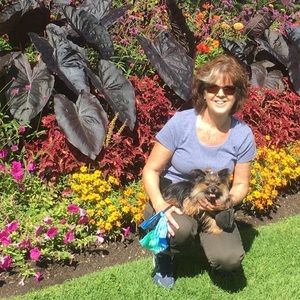 Meet your Posher, Suzanne